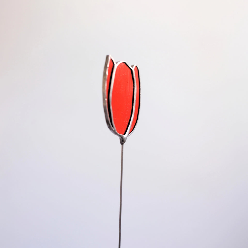 Tulpenstecker Rot