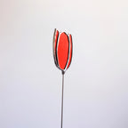 Tulpenstecker Rot