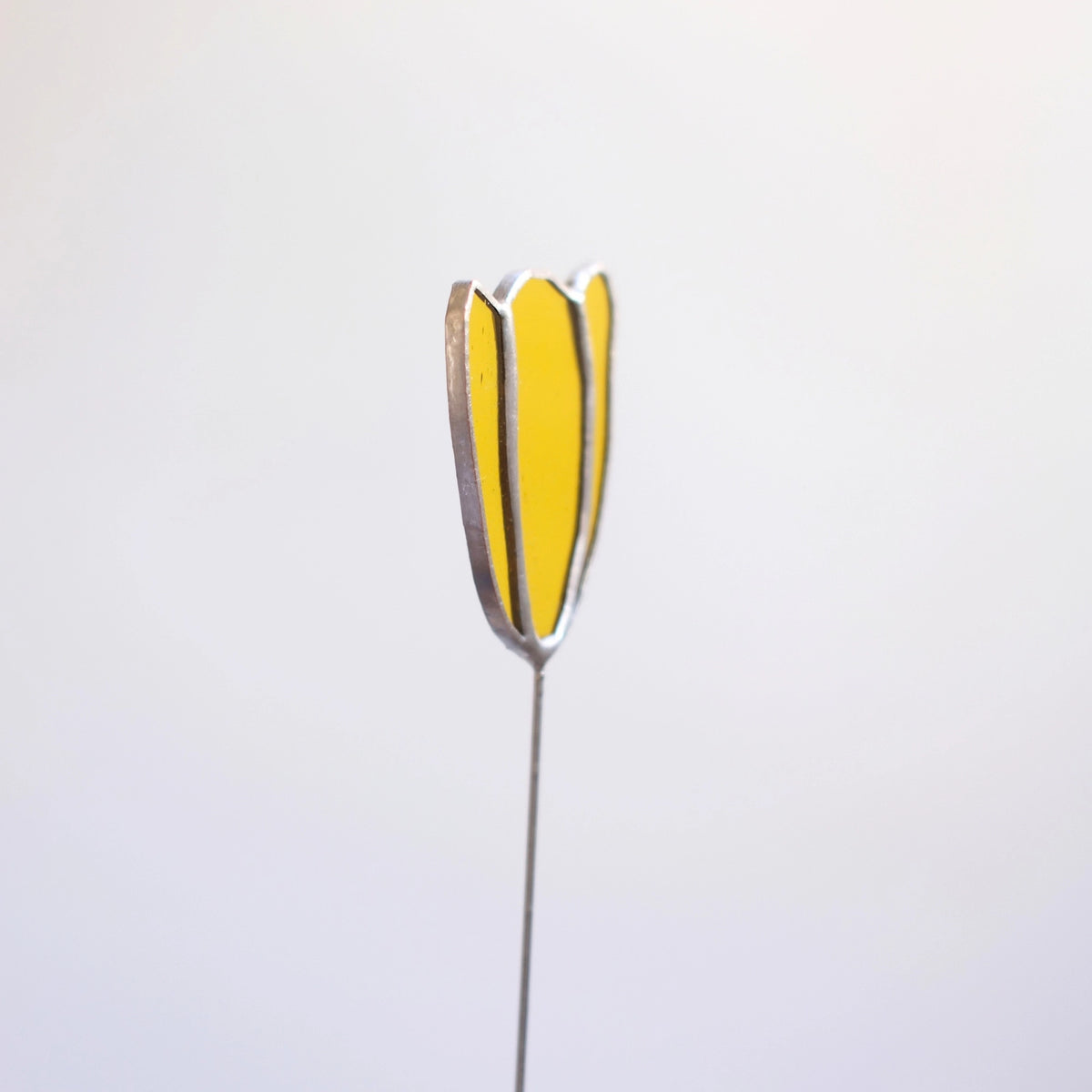Tulpenstecker Gelb 01