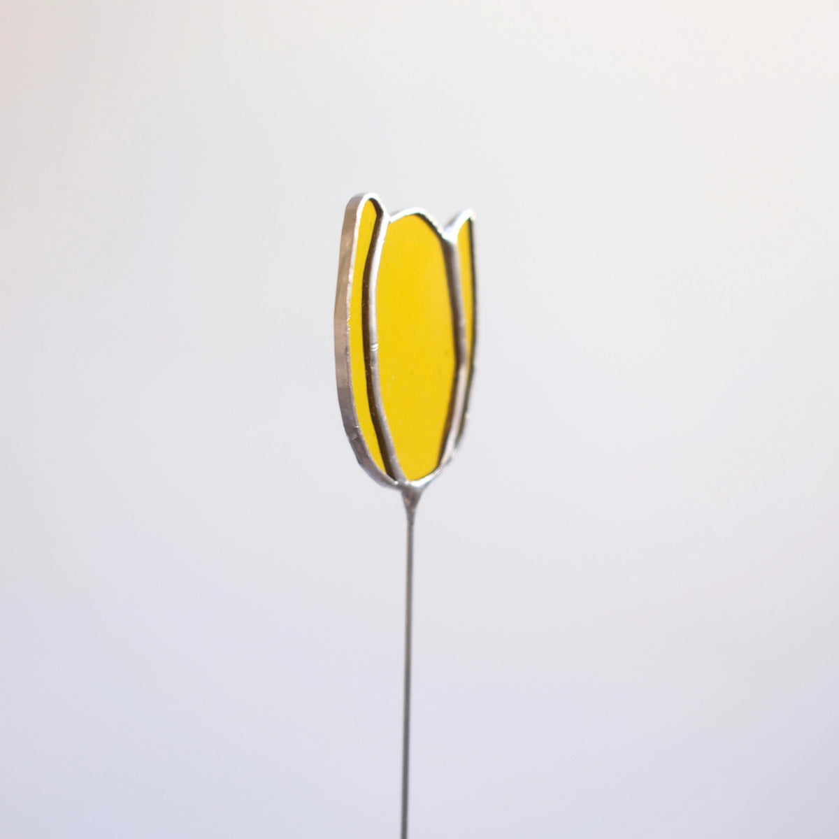 Tulpenstecker Gelb 02