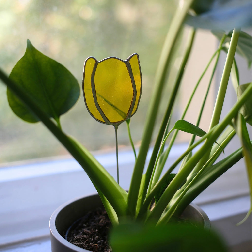 Tulpenstecker Gelb 02