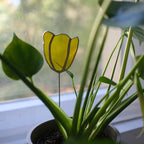 Tulpenstecker Gelb 01