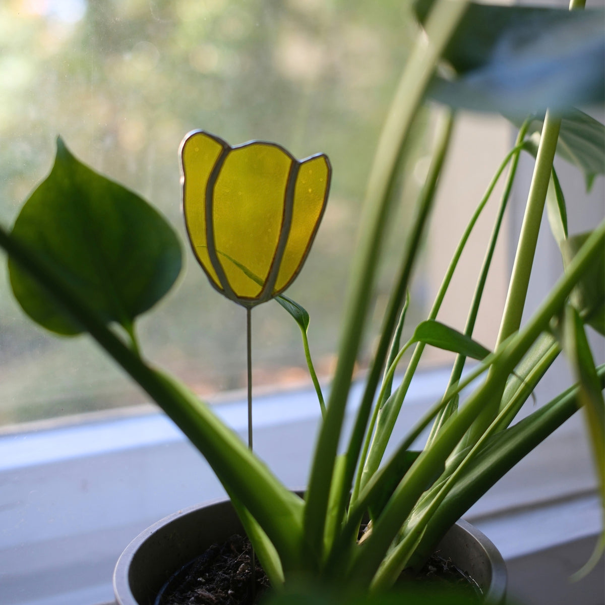 Tulpenstecker Gelb 01