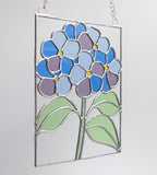Blaue Hortensie
