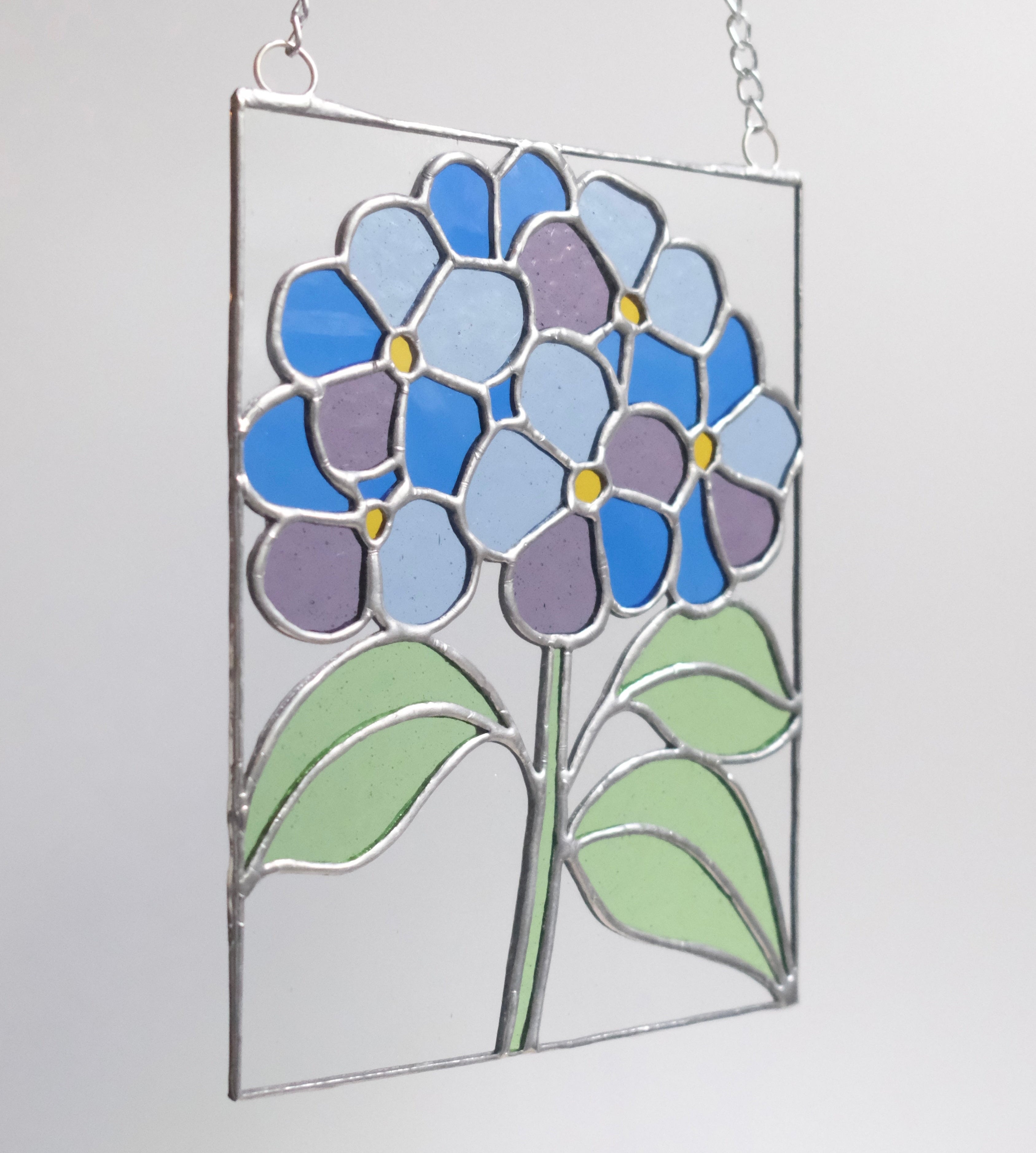 Blaue Hortensie